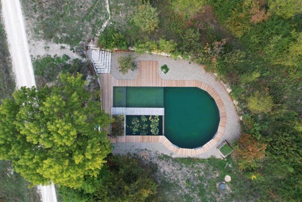 Maison Terre Les Cabanes De Fallot - Sauna Bain-Froid Piscine Naturelle L'isle-Bouzon Eksteriør bilde