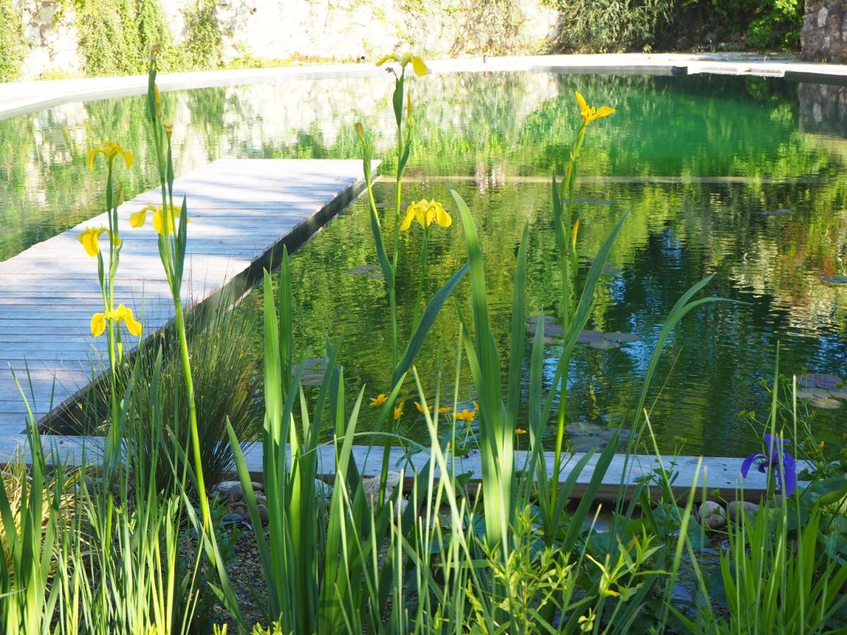 Maison Terre Les Cabanes De Fallot - Sauna Bain-Froid Piscine Naturelle L'isle-Bouzon Eksteriør bilde