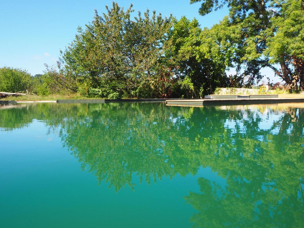 Maison Terre Les Cabanes De Fallot - Sauna Bain-Froid Piscine Naturelle L'isle-Bouzon Eksteriør bilde